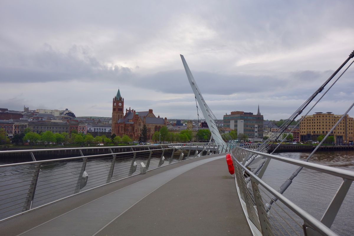 Sugar Daddy Derry - sugar.ie
